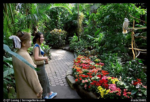 Women listening to the white parrot, Bloedel conservatory, Queen Elizabeth Park. Vancouver, British Columbia, Canada