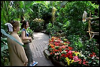 Women listening to the white parrot, Bloedel conservatory, Queen Elizabeth Park. Vancouver, British Columbia, Canada ( color)