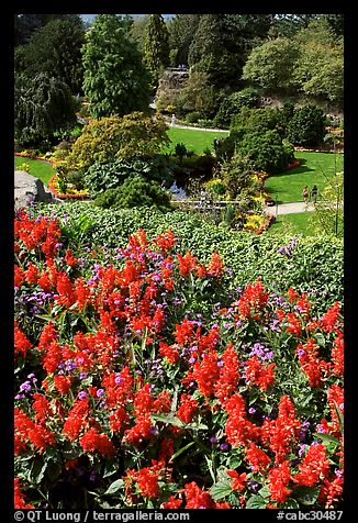 Flowers and sunken garden, Queen Elizabeth Park. Vancouver, British Columbia, Canada (color)