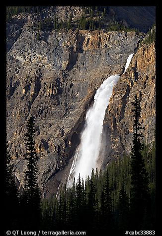 Takakkaw Falls from Yoho Valley Road, late afternoon. Yoho National Park, Canadian Rockies, British Columbia, Canada (color)