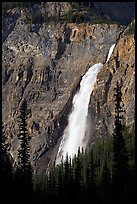 Takakkaw Falls from Yoho Valley Road, late afternoon. Yoho National Park, Canadian Rockies, British Columbia, Canada