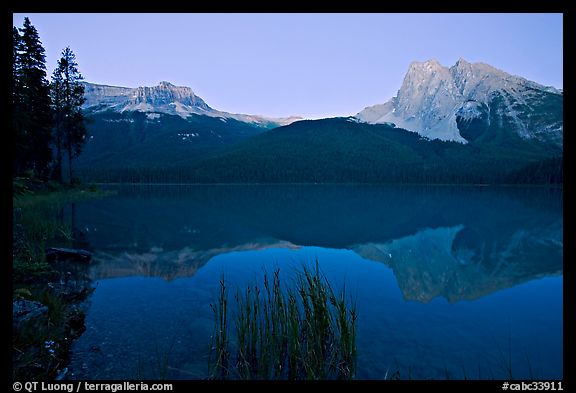 Mount Burgess and Wapta Mountain reflected in Emerald Lake, dusk. Yoho National Park, Canadian Rockies, British Columbia, Canada