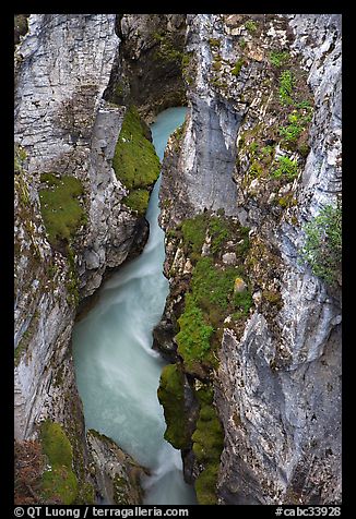 Limestone walls carved by Tokkum Creek, Marble Canyon. Kootenay National Park, Canadian Rockies, British Columbia, Canada