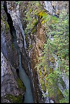 Marble Canyon 36 meter deep narrow gorge. Kootenay National Park, Canadian Rockies, British Columbia, Canada (color)