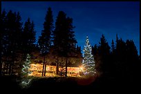 Lit Christmas trees, cabin, and forest at night. Kootenay National Park, Canadian Rockies, British Columbia, Canada ( color)