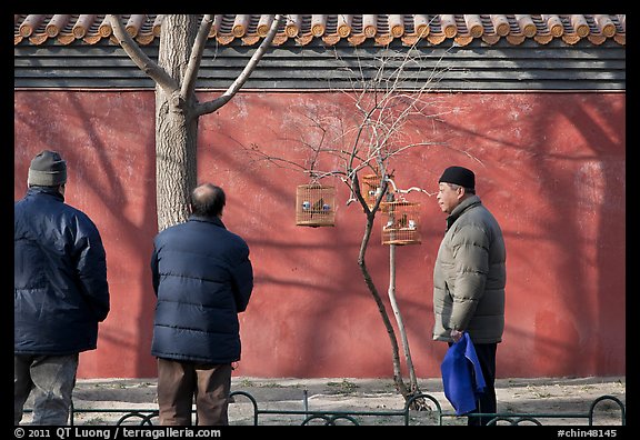 Bird market along red wall. Beijing, China