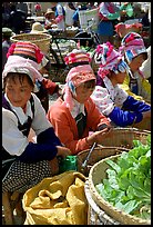 Bai women sell vegetables at the Monday market. Shaping, Yunnan, China ( color)