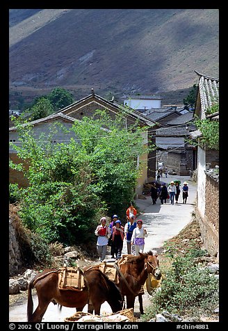 Village street leading to the market. Shaping, Yunnan, China