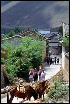 Village street leading to the market. Shaping, Yunnan, China ( color)