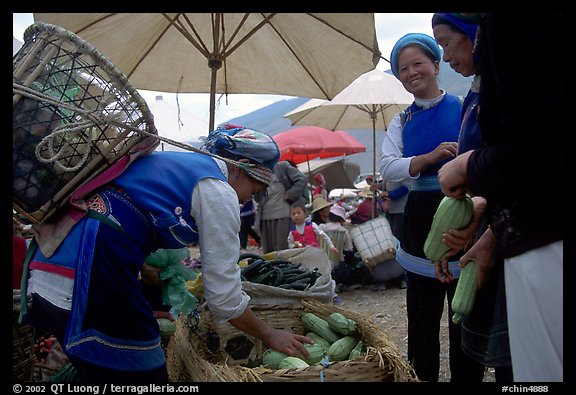 Bai tribeswomen buy vegetables at Monday market. Shaping, Yunnan, China