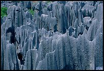 Maze of grey limestone pinnacles and peaks of the Stone Forst. Shilin, Yunnan, China ( color)