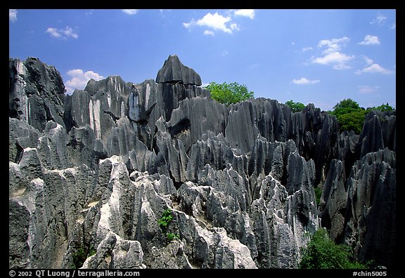 Details of the grey limestone pinnacles of the Stone Forst. Shilin, Yunnan, China