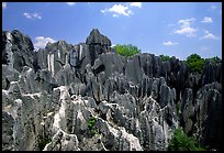 Details of the grey limestone pinnacles of the Stone Forst. Shilin, Yunnan, China (color)