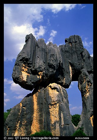 Opening in a limestone formation of the Stone Forest. Shilin, Yunnan, China