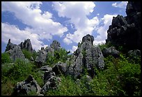 Among the limestone peaks of the Stone Forest. Shilin, Yunnan, China (color)