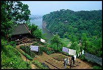 Cultures on Wuyou Hill. Leshan, Sichuan, China ( color)