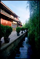 Wooden houses and vegetation near a canal. Lijiang, Yunnan, China ( color)