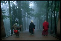 Pilgrims descend a staircase in the fog beneath Wannian Si. Emei Shan, Sichuan, China (color)