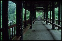Covered bridge between Qingyin and Hongchunping. Emei Shan, Sichuan, China ( color)