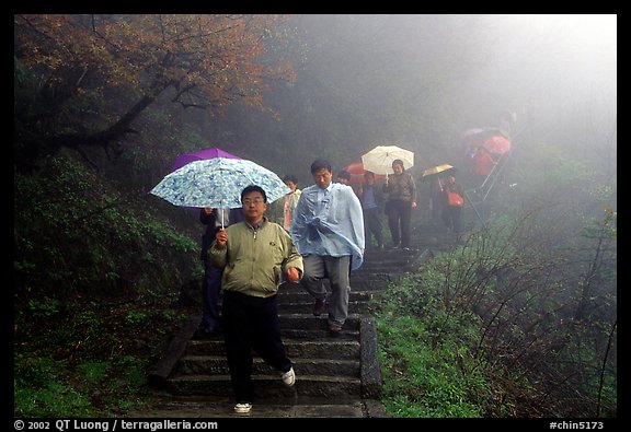Pilgrims with umbrellas descend some of the tens of thousands of stairs. Emei Shan, Sichuan, China (color)