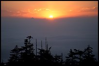 Sunset over a sea of clouds. Emei Shan, Sichuan, China