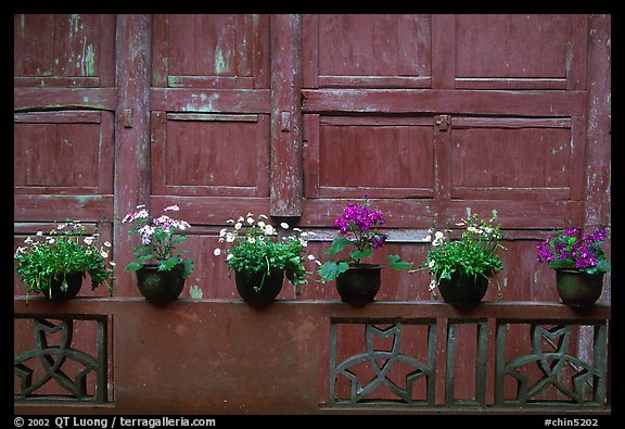 Potted flowers and wooden wall in Bailongdong temple. Emei Shan, Sichuan, China (color)