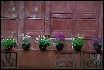 Potted flowers and wooden wall in Bailongdong temple. Emei Shan, Sichuan, China