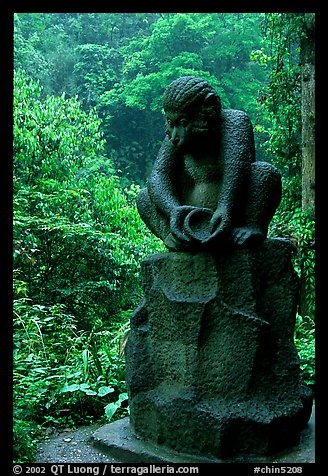 Monkey statue between Qingyin and Hongchunping. Emei Shan, Sichuan, China (color)