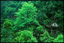 Path and pavillon on steep hillside between Qingyin and Hongchunping. Emei Shan, Sichuan, China ( color)
