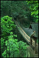 Suspension bridge between Qingyin and Hongchunping. Emei Shan, Sichuan, China