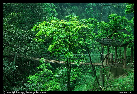 Suspension bridge between Qingyin and Hongchunping. Emei Shan, Sichuan, China