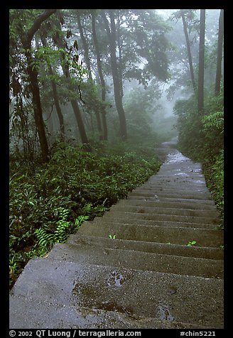 The staircase above Hongchunping. Emei Shan, Sichuan, China