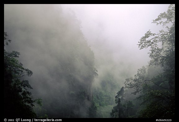 Cliffs and trees in mist between Hongchunping and Xiangfeng. Emei Shan, Sichuan, China