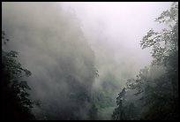 Cliffs and trees in mist between Hongchunping and Xiangfeng. Emei Shan, Sichuan, China ( color)