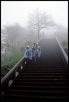 Pilgrims descend stairs beneah Xixiangchi temple in raingear. Emei Shan, Sichuan, China