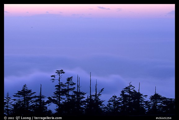 Sunset on a sea of clouds. Emei Shan, Sichuan, China (color)