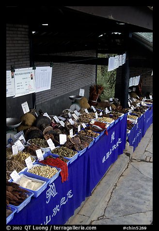 Fungus for sale at a stand near Jieyin Palace. Emei Shan, Sichuan, China