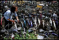 Retriving a bike in the bicycle parking lot. Chengdu, Sichuan, China ( color)