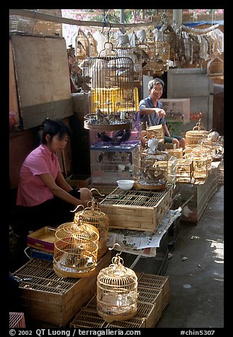 Bird Market. Guangzhou, Guangdong, China (color)