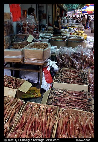 Strange animal parts for sale at the Qingping market. Guangzhou, Guangdong, China