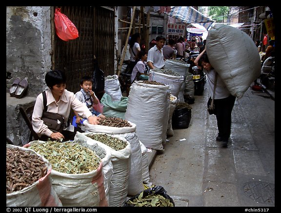 Large bags of dried food items. Guangzhou, Guangdong, China (color)