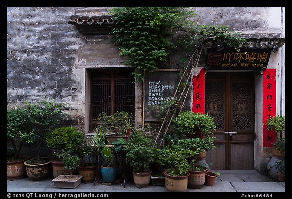 Facade with potted plants. Hongcun Village, Anhui, China (color)