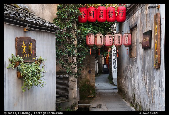 Alley with lanterns and plants. Hongcun Village, Anhui, China