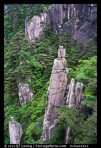 Granite spires rising from forest. Huangshan Mountain, China (color)
