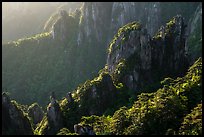 Granite spires with lush vegetation. Huangshan Mountain, China ( color)