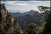 Huangshuan pines on granite peaks. Huangshan Mountain, China ( color)