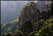Granite peaks with pines. Huangshan Mountain, China ( color)
