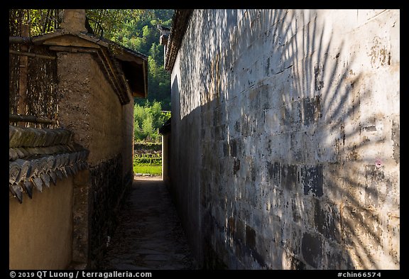 Plant shadow and alley. Xidi Village, Anhui, China