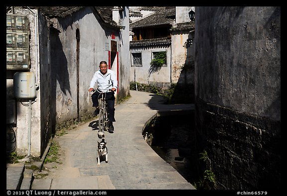 Dog and man on bike. Xidi Village, Anhui, China (color)
