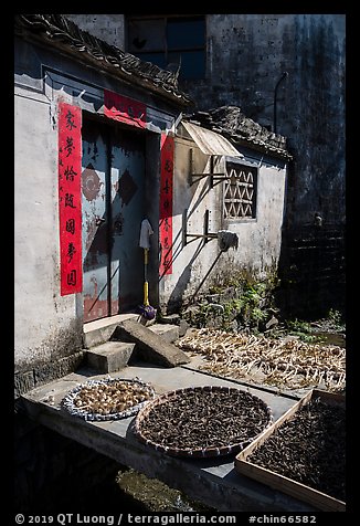 Harvest drying in front of village house. Xidi Village, Anhui, China (color)